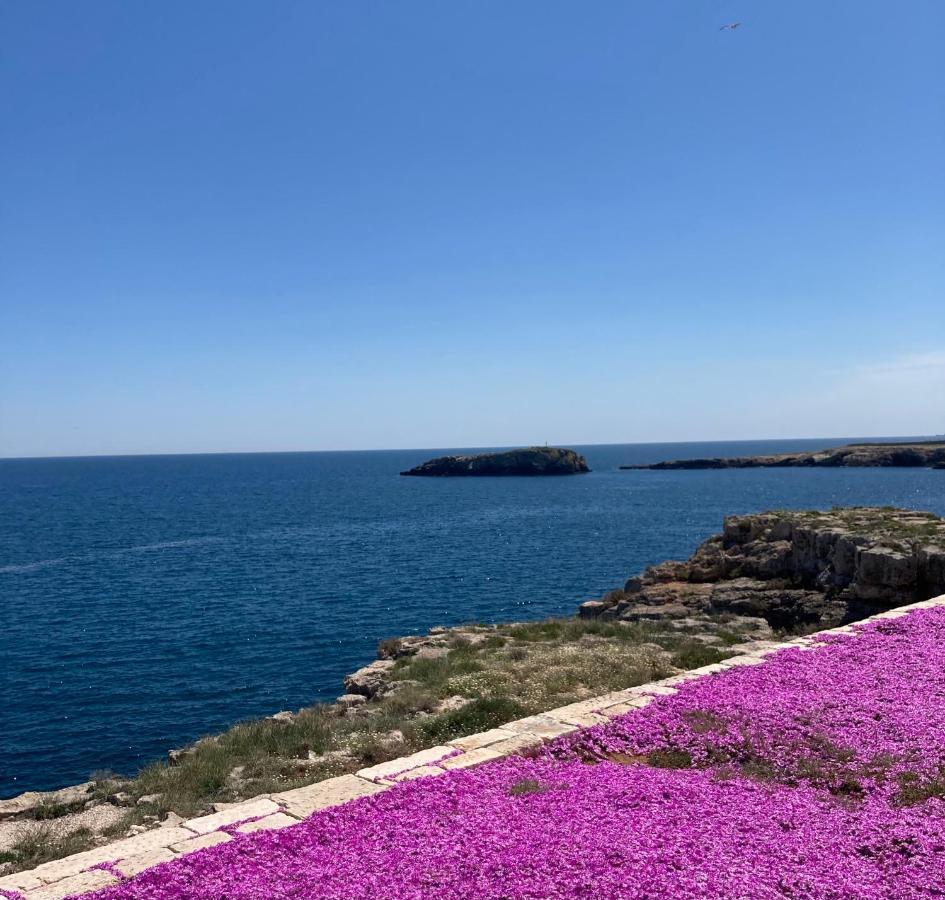 Essence Appartament Polignano a Mare Εξωτερικό φωτογραφία
